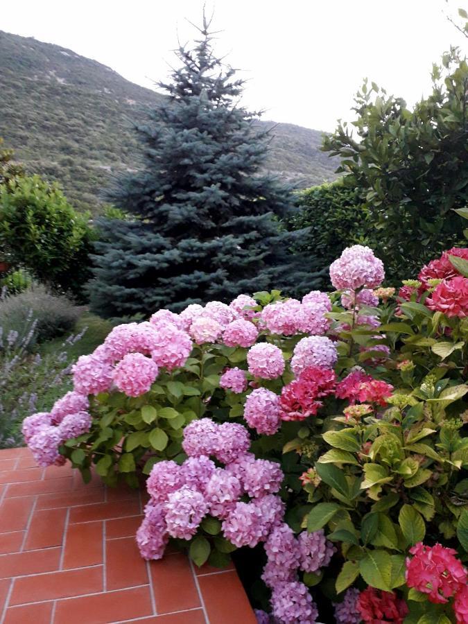 Apartmani Tia Neum Exterior photo